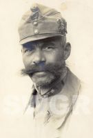 Oberst Maximilian Lauer, Regimentskommandeur